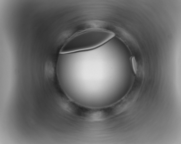 X0000115550456200911131608