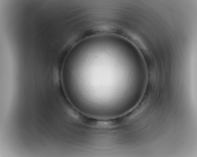 X0000115550457200911131608