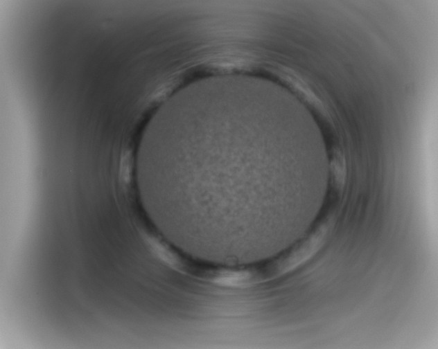 X0000115550458200911131608