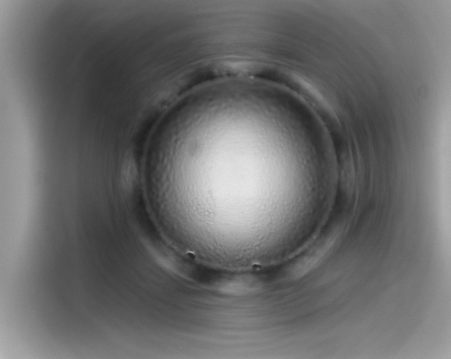 X0000115550459200911131608