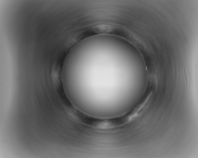 X0000115550460200911131608