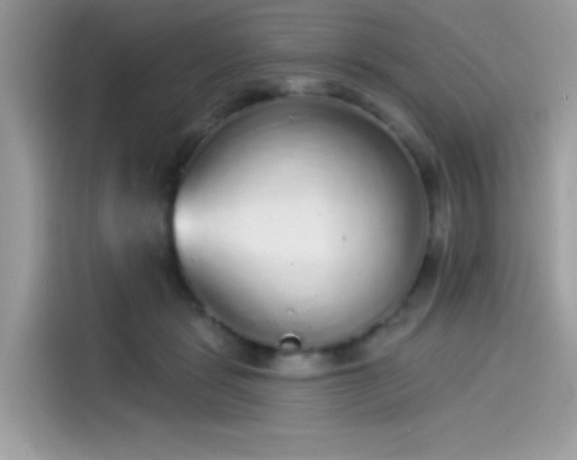 X0000115550461200911131608