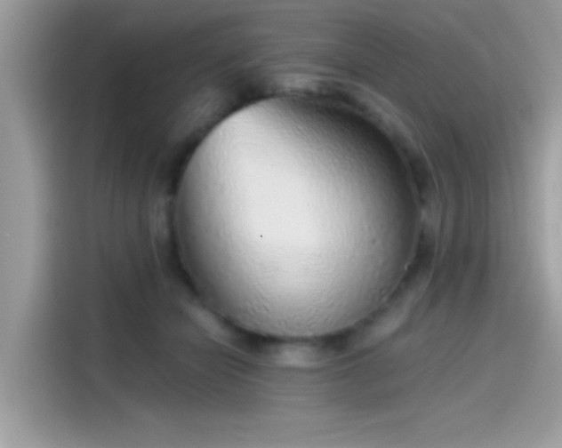 X0000115550462200911131608