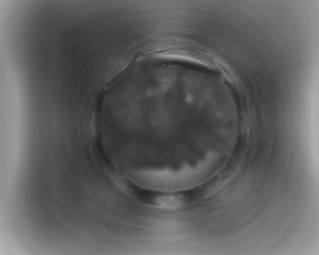 X0000115550465200911131608