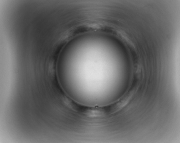 X0000115550466200911131609