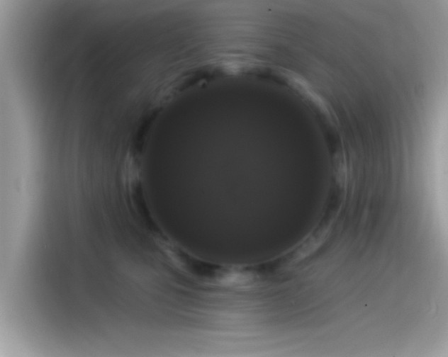 X0000115550471200911131609