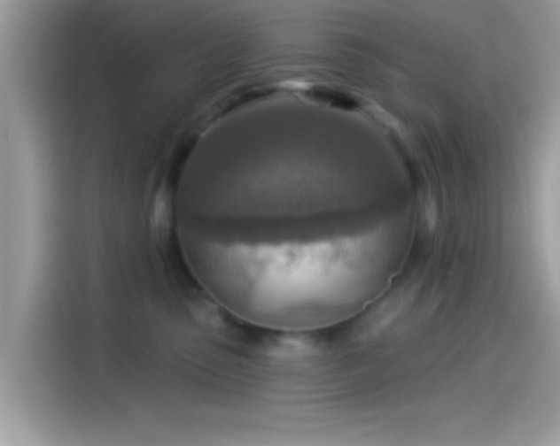 X0000115550475200911131609