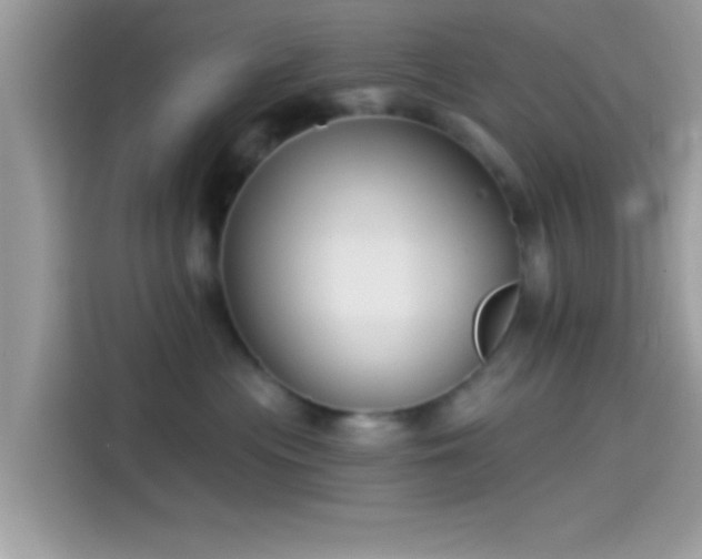 X0000115550477200911131609