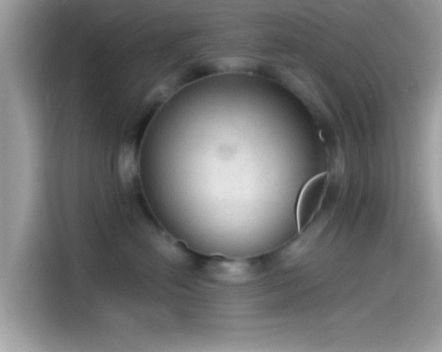 X0000115550478200911131609