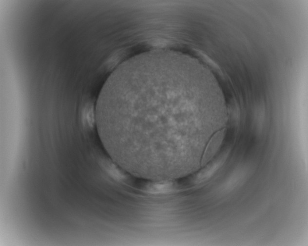 X0000115550479200911131609