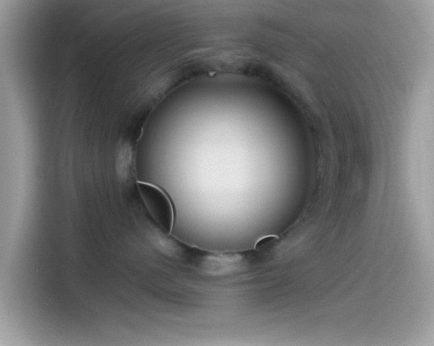 X0000115550480200911131609