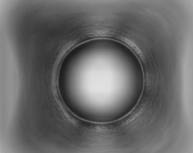 X0000115550481200911131608