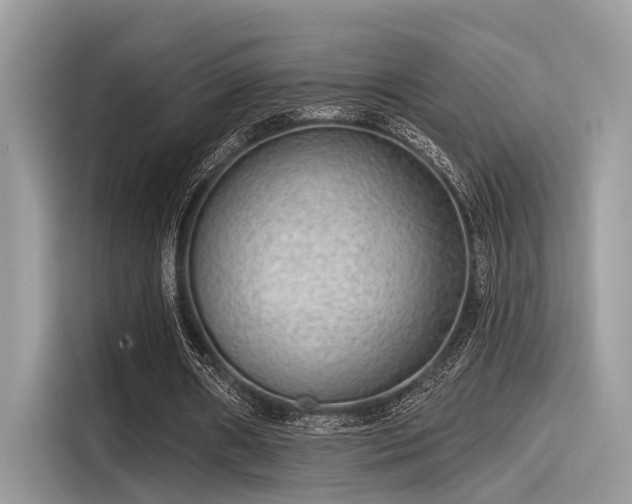 X0000115550482200911131608