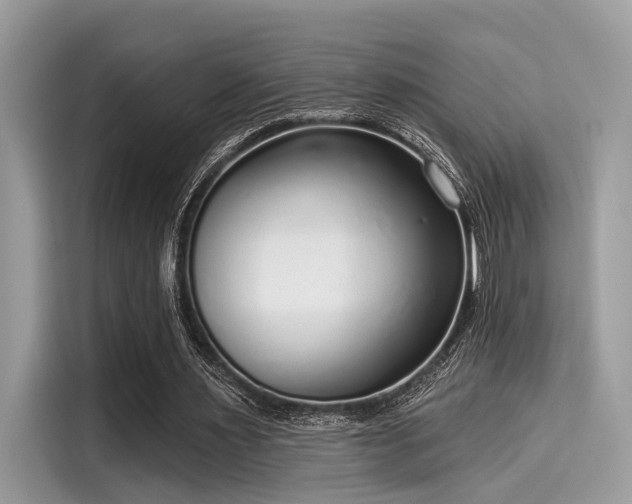 X0000115550483200911131608