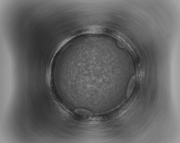 X0000115550484200911131608