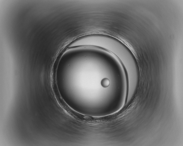 X0000115550485200911131608