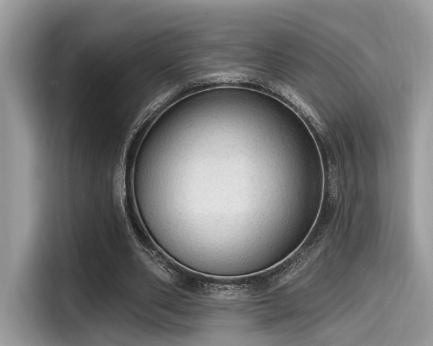 X0000115550486200911131608