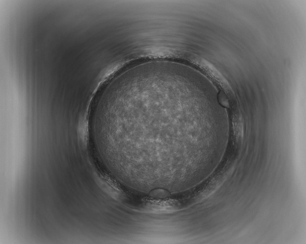 X0000115550488200911131608