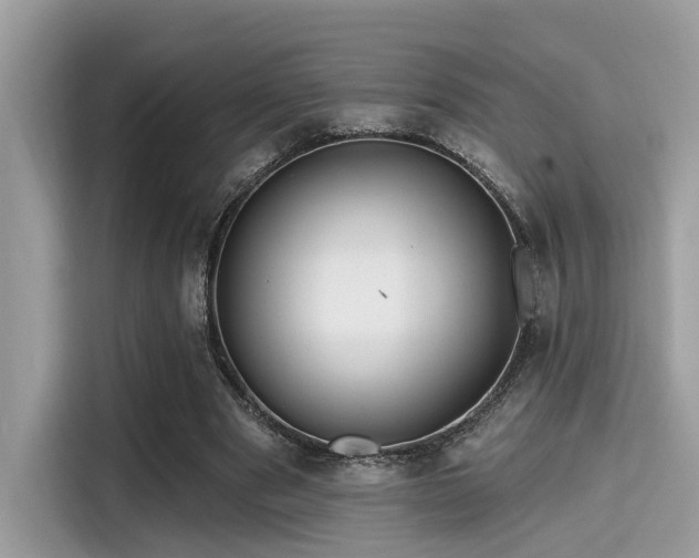 X0000115550489200911131608