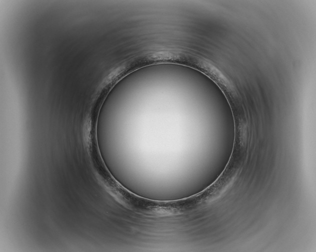 X0000115550490200911131608