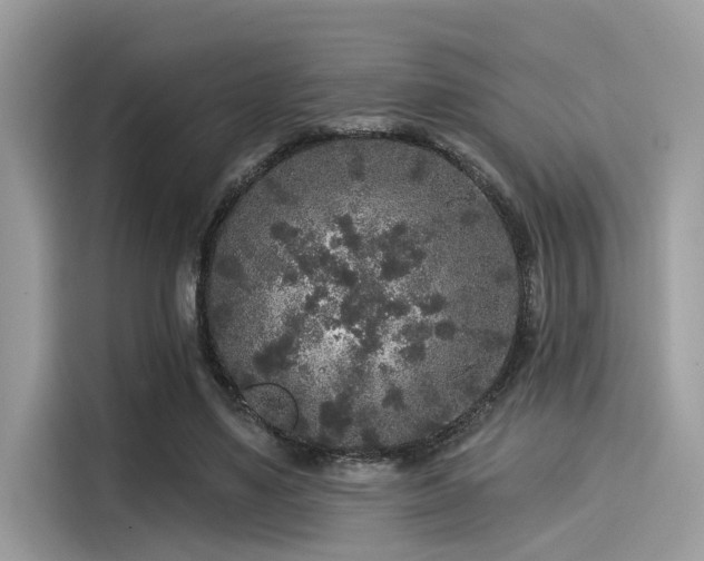 X0000115550491200911131608