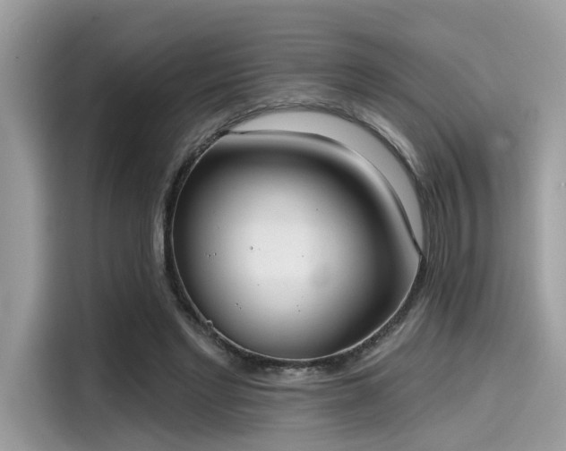 X0000115550493200911131608