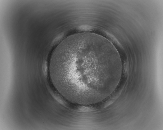 X0000115550494200911131608