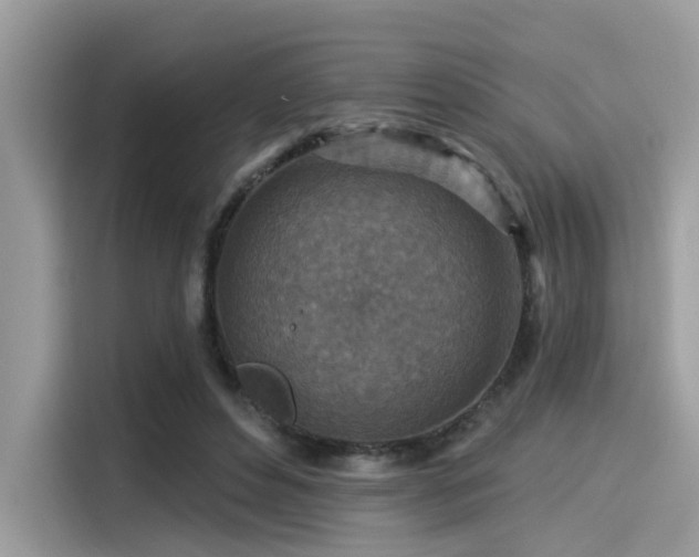 X0000115550496200911131608