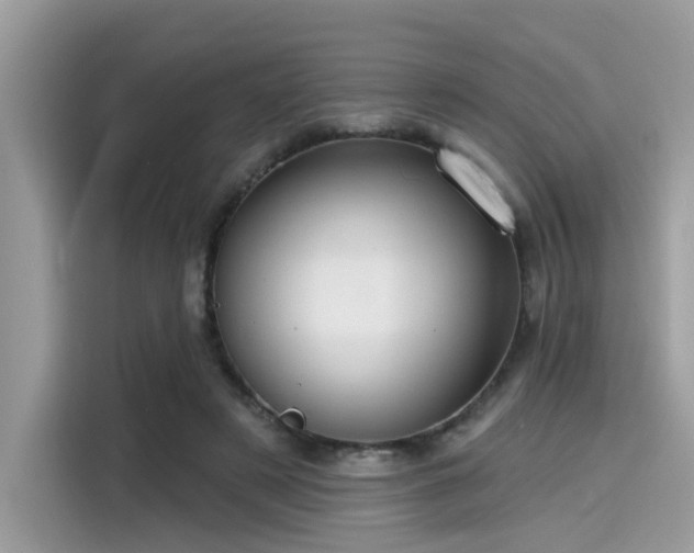 X0000115550497200911131608