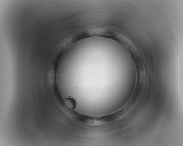 X0000115550498200911131608