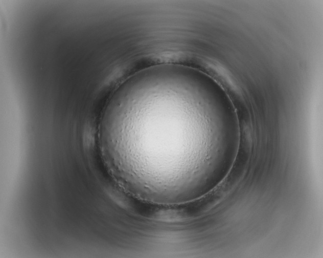 X0000115550499200911131608