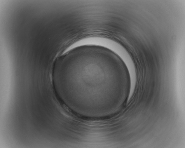 X0000115550500200911131608