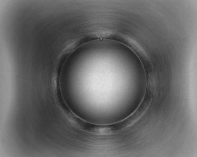 X0000115550501200911131608