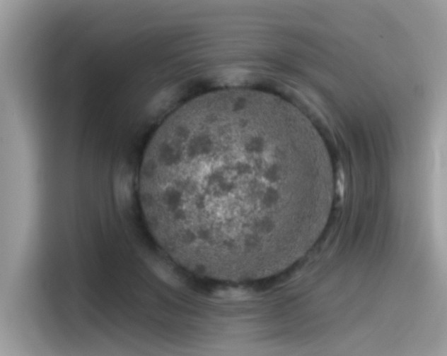 X0000115550503200911131608