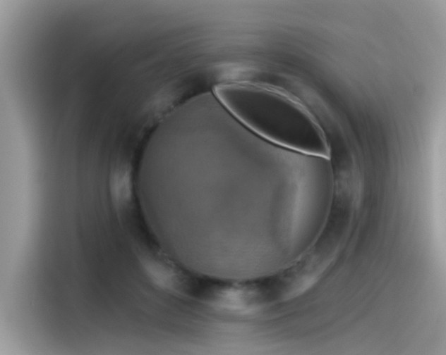 X0000115550504200911131608