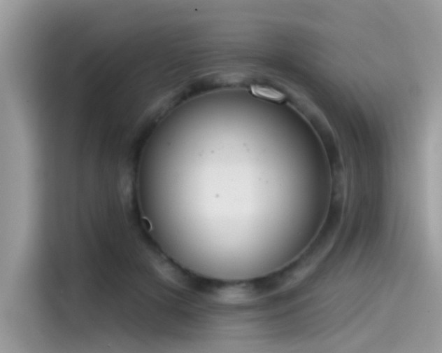 X0000115550505200911131608