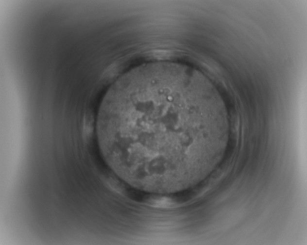 X0000115550507200911131608