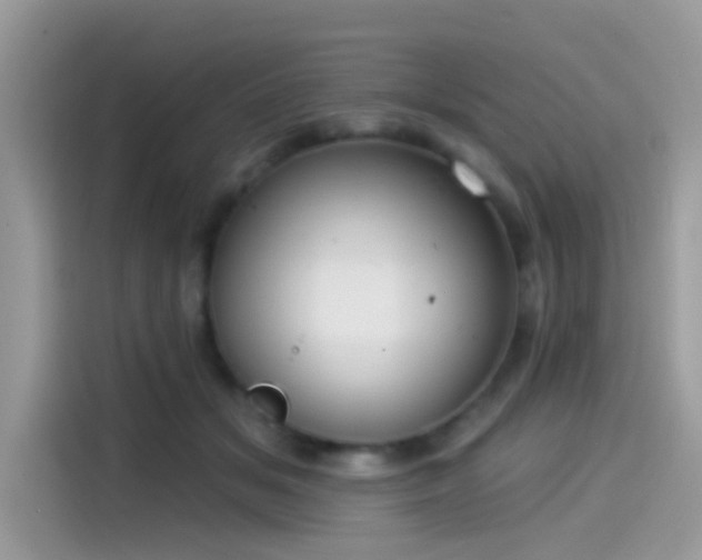 X0000115550509200911131608