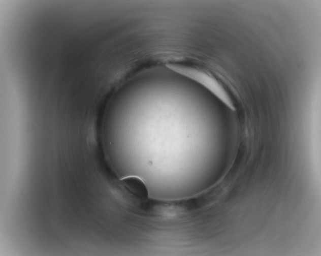 X0000115550512200911131608