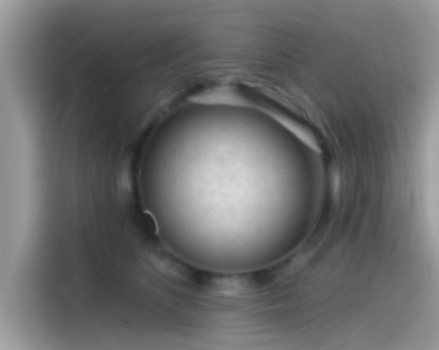 X0000115550516200911131607