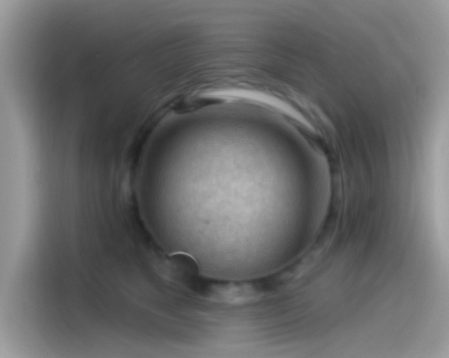 X0000115550517200911131607