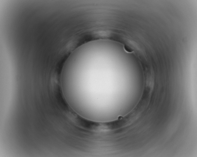 X0000115550518200911131607