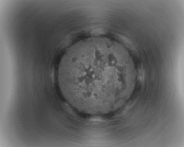 X0000115550519200911131607