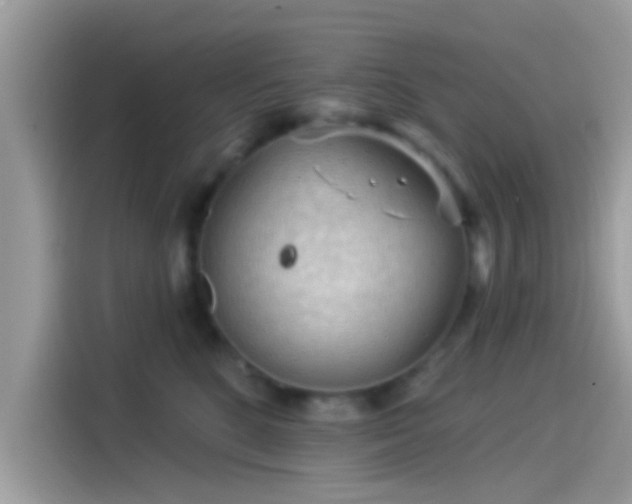 X0000115550520200911131607