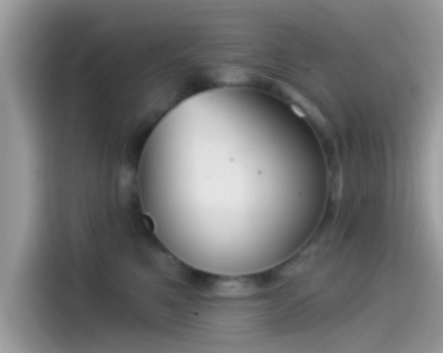 X0000115550521200911131607