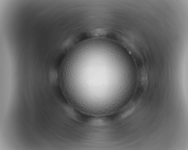 X0000115550523200911131607