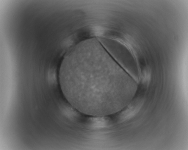 X0000115550524200911131607