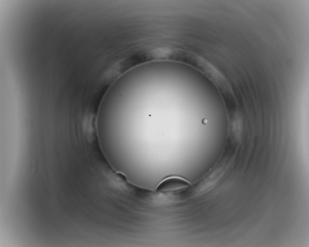 X0000115550525200911131607