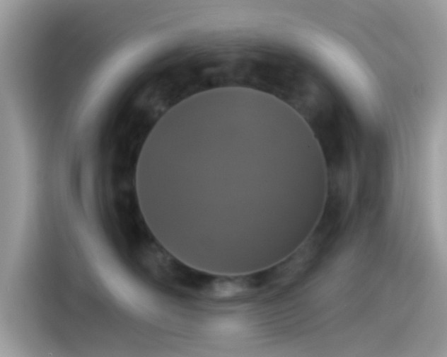 X0000115550526200911131607