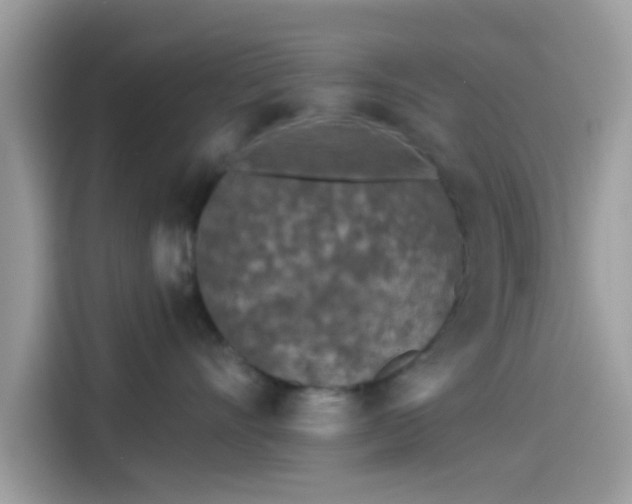 X0000115550528200911131607